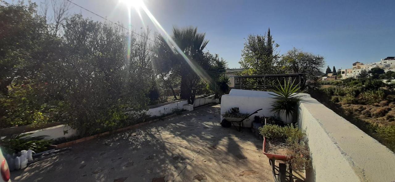 Cortijo Ferre, A Los Pies Del Castillo La Atalaya De Níjar Exterior foto