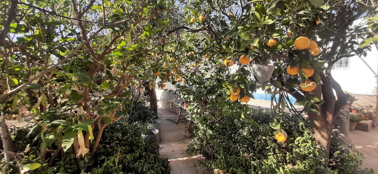 Cortijo Ferre, A Los Pies Del Castillo La Atalaya De Níjar Exterior foto