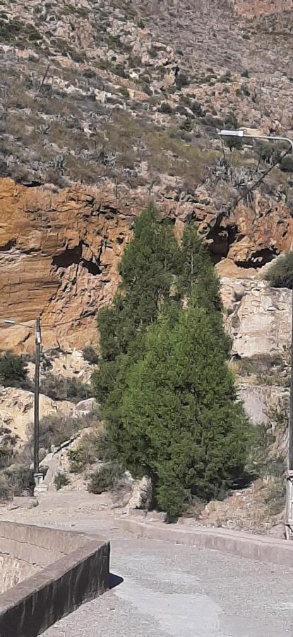 Cortijo Ferre, A Los Pies Del Castillo La Atalaya De Níjar Exterior foto